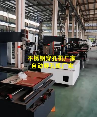 不锈钢穿孔机厂家 自动穿孔机厂家